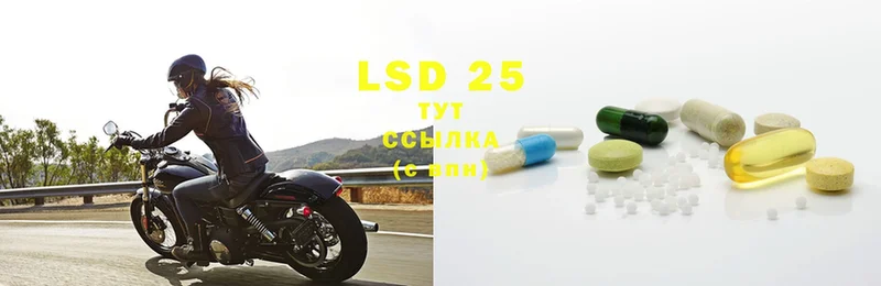 продажа наркотиков  Камень-на-Оби  LSD-25 экстази кислота 